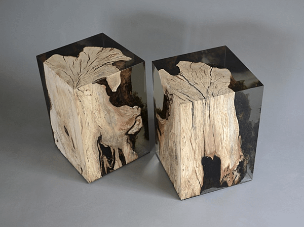 stump stool_hornbeam_undergrowth-3.png