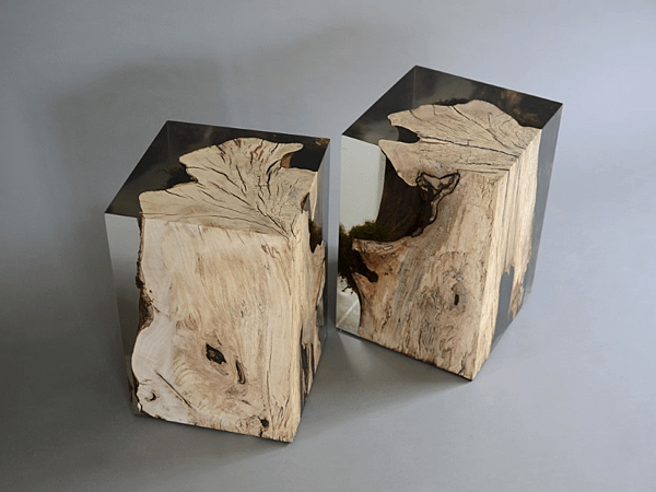 stump stool_hornbeam_undergrowth-2.png