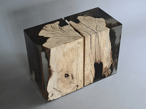 stump stool_hornbeam_undergrowth-6.png