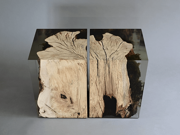 stump stool_hornbeam_undergrowth-5.png