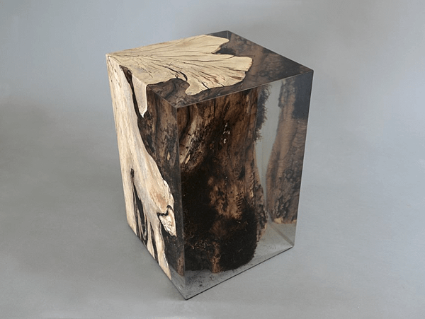 stump stool_hornbeam_undergrowth-9.png