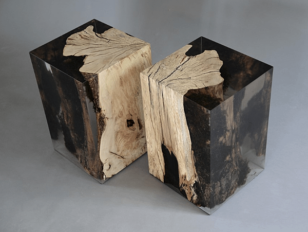 stump stool_hornbeam_undergrowth-10.png