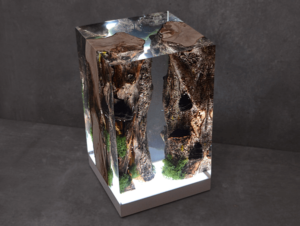 MOSS LAMP_UNDERGROWTH- 8.png