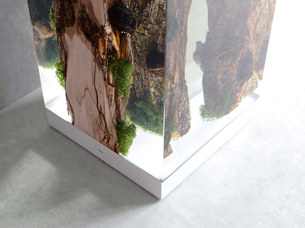 MOSS LAMP_UNDERGROWTH- 7.png