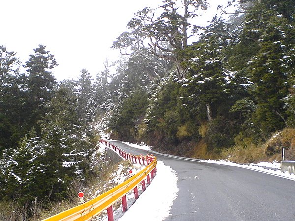 DSC08780.JPG