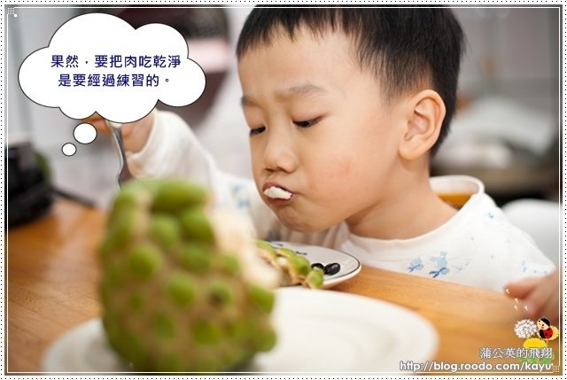 201212-小小白吃釋迦09