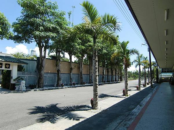 CIMG0436.JPG