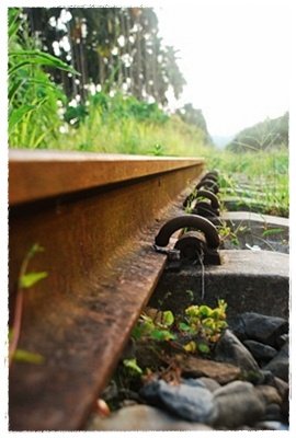 06.JPG