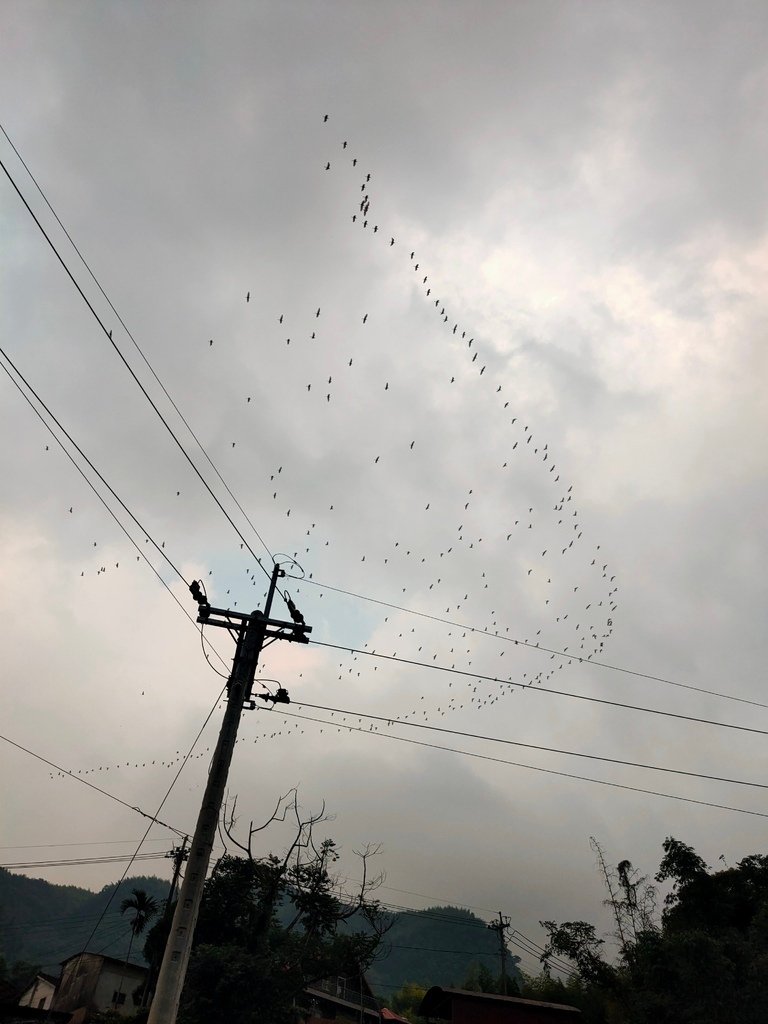 【南投親子民宿】溪部好呆庄♥印地安露營車♥賞螢秘境♥懶人露營