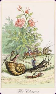 fantastic-menagerie-04809.jpg