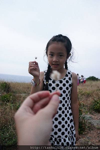 172.JPG