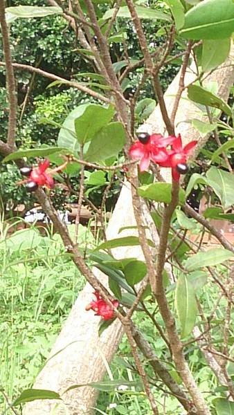 DSC_1435.JPG