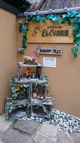 DSC_0320.JPG