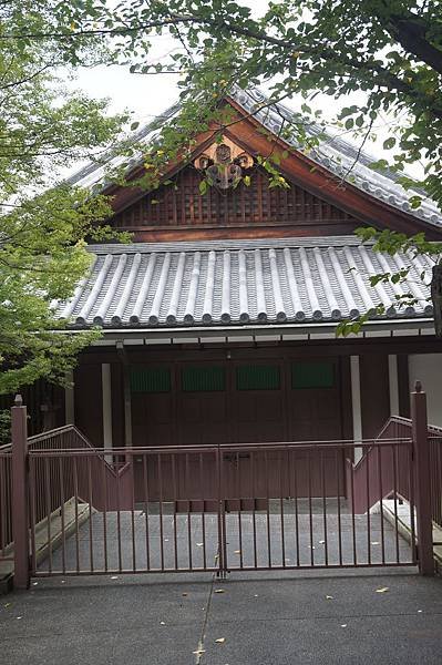 DSC08895.JPG