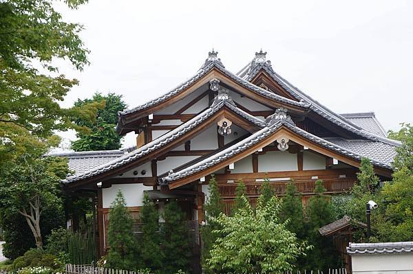 DSC08896.JPG