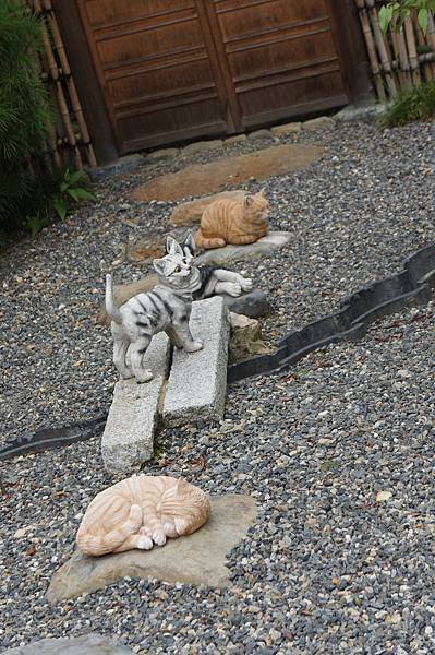 DSC08899.JPG