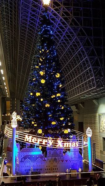 20161123_191902.jpg