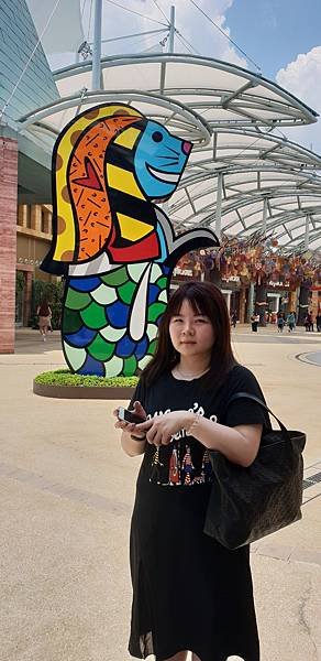 20190308_133959.jpg