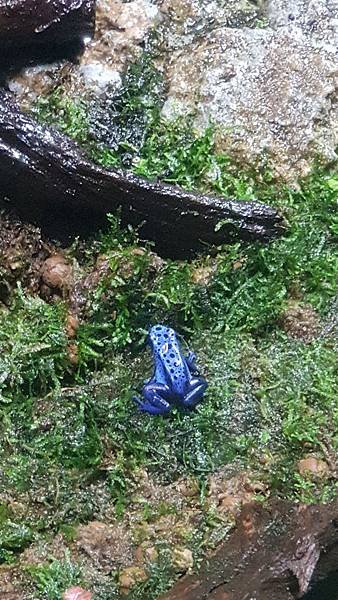 20190308_144442.jpg