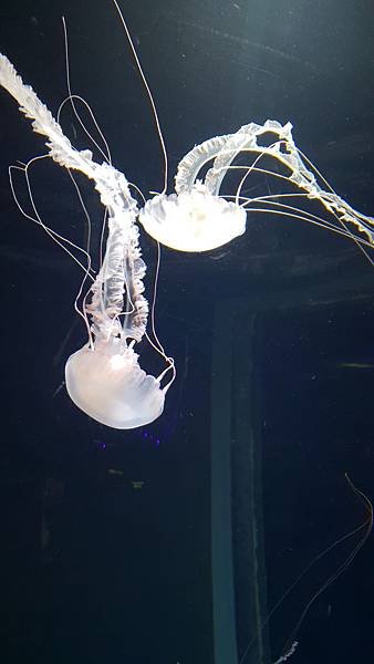 20190308_152038.jpg