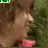 1433141346-3736901714.gif