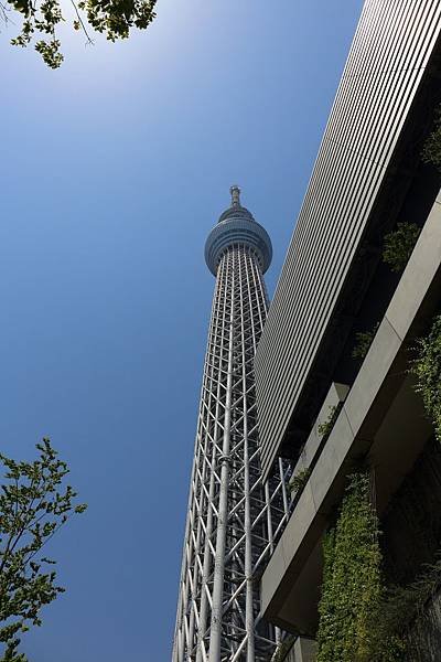 20150514_東京_017.JPG