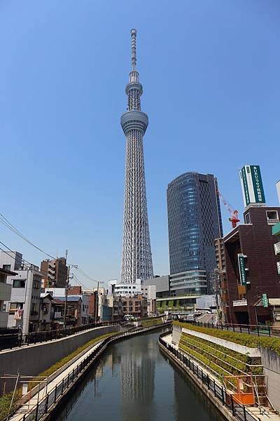 20150514_東京_024.JPG