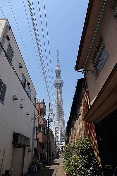 20150514_東京_027.JPG