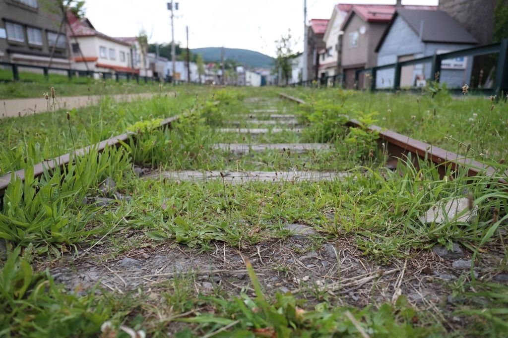 20160624_北海道_181.JPG