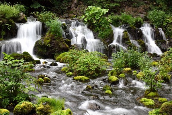 20100906_北海道_113.jpg