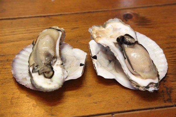 20100908_北海道_094.jpg