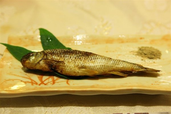 20101015_苗栗_108.JPG