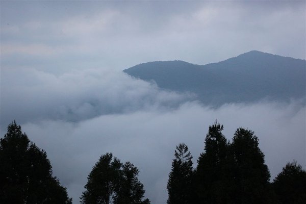 20090628_拉拉山_138.JPG