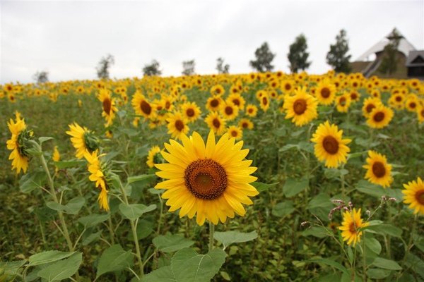 20100905_北海道_099.JPG