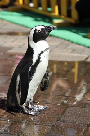 20100907_北海道_071.jpg