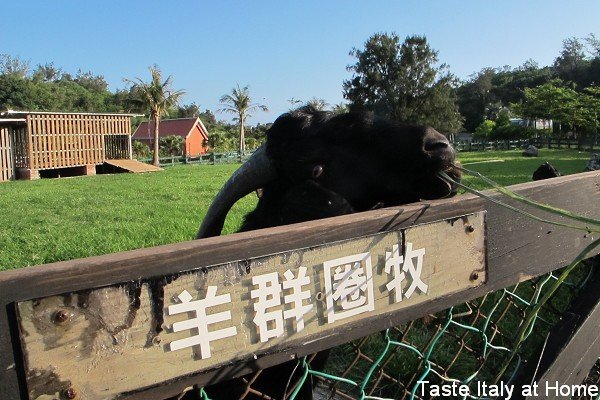 托斯卡尼IMG_0549.jpg