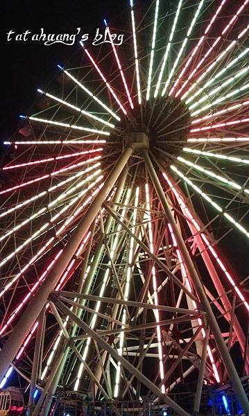 IMAG0594_副本