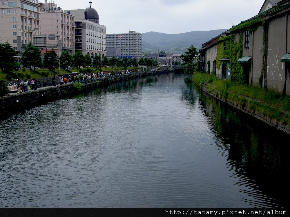 IMGP0480.JPG