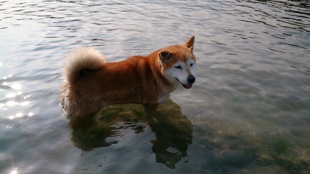 DSC_1355 (640x360)