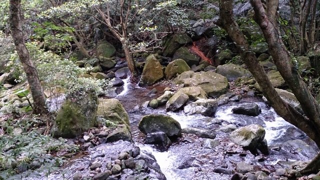 DSC_2177 (640x360)