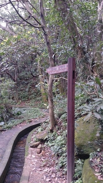 DSC_2172 (360x640)
