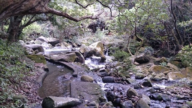 DSC_2178 (640x360)