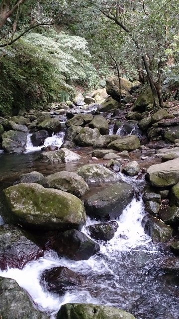 DSC_2179 (360x640)