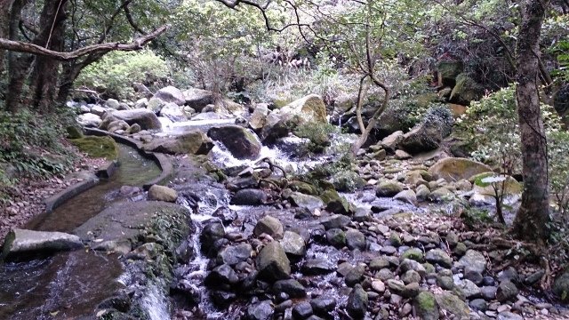 DSC_2176 (640x360)