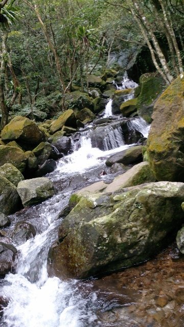 DSC_2182 (360x640)