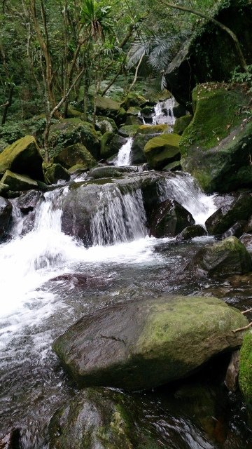 DSC_2183 (360x640)