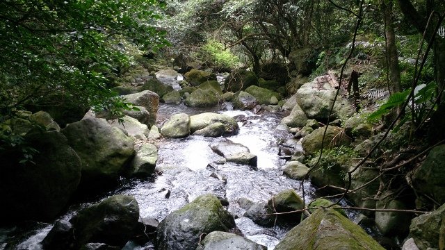 DSC_2180 (640x360)