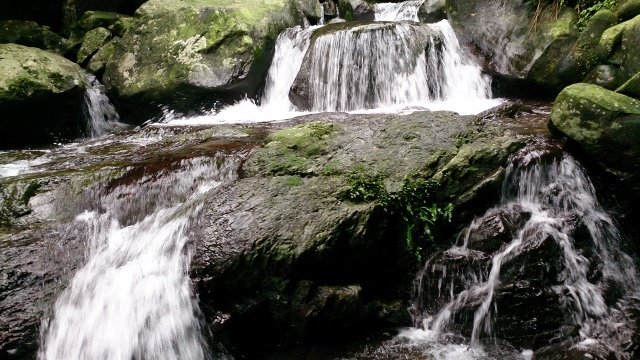 DSC_2197 (640x360)