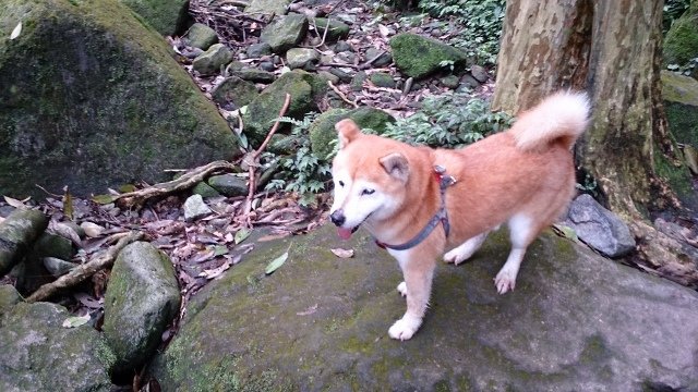 DSC_2187 (640x360)