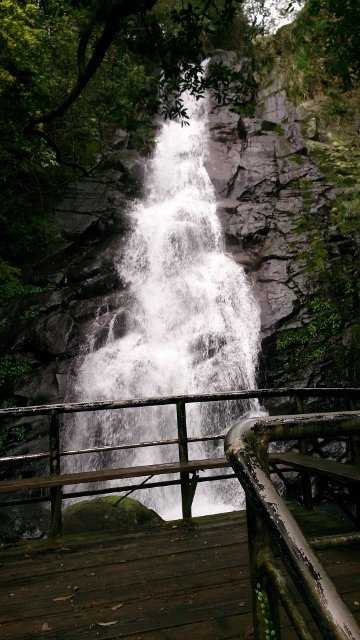 DSC_2199 (360x640)
